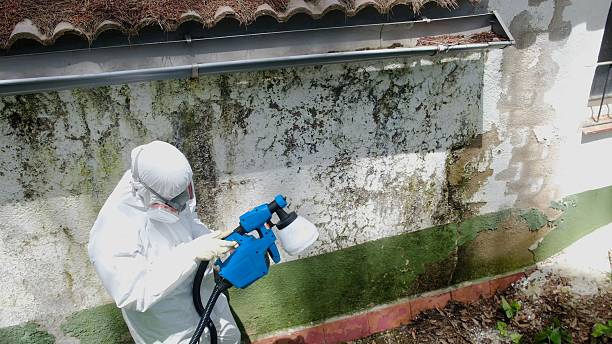 Top rated local Mold Remediation specialists in Wayne, PA